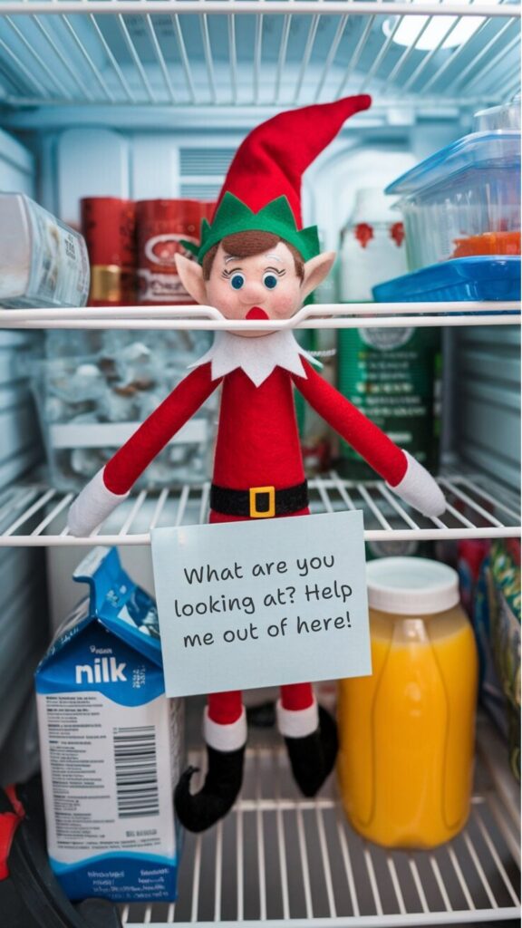 Elf Stuck in the Fridge